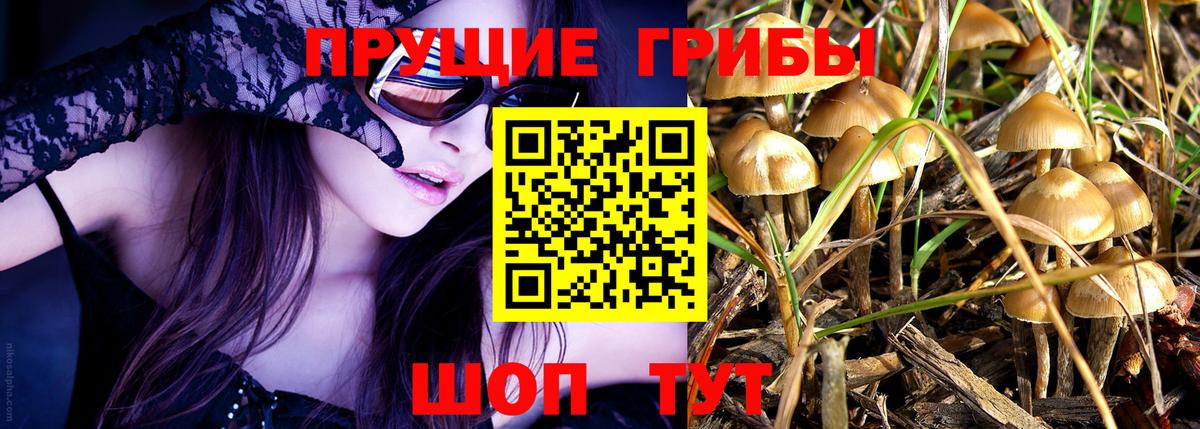 Галлюциногенные грибы Magic Shrooms  Вход с VPN  Галлюциногенные грибы MAGIC MUSHROOMS  Туапсе 